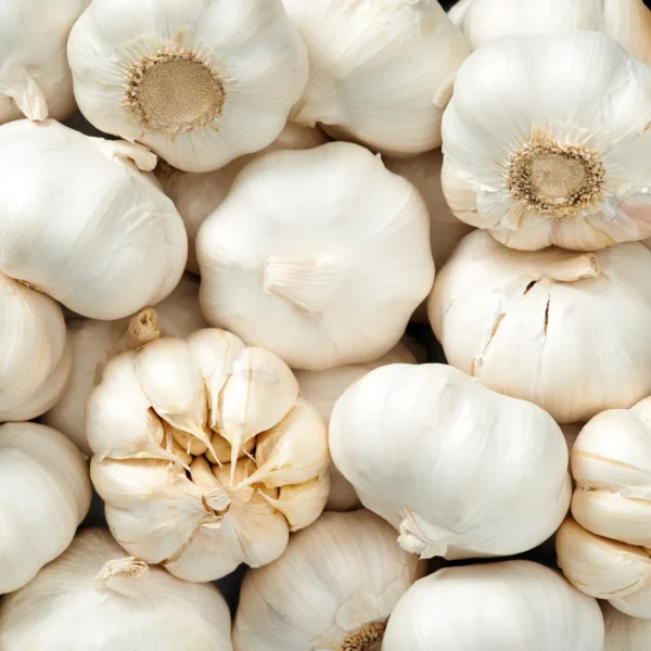 Veg Garlic Bulbs