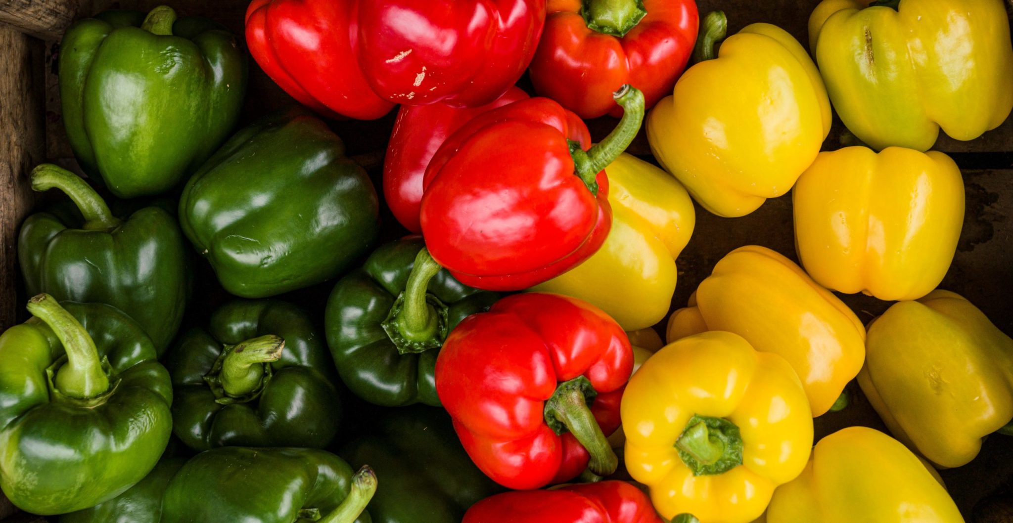 Mixed Peppers 500g Craigie’s Farm, Deli, Café and Farm Park