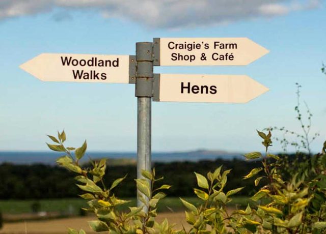 Signage Signage