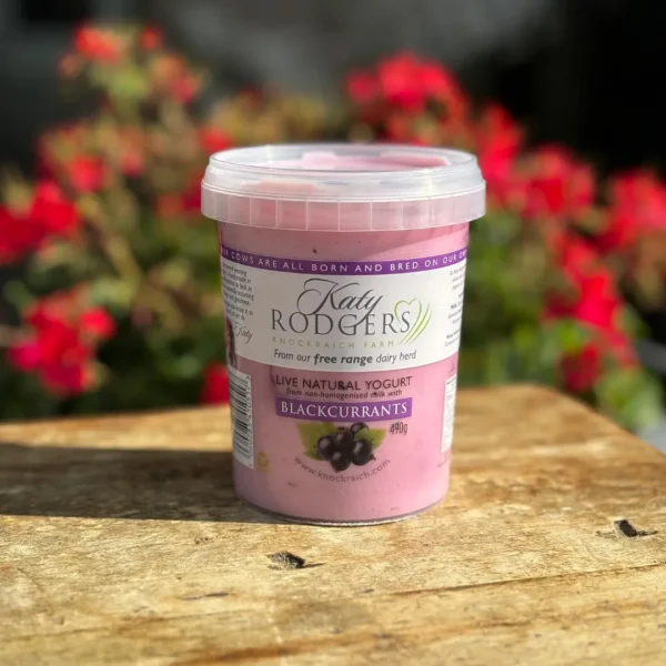 Katy Rogers 490g Blackcurrant Yogurt