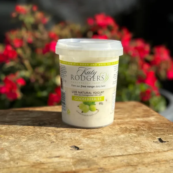 Katy Rogers 490g Gooseberry Yogurt