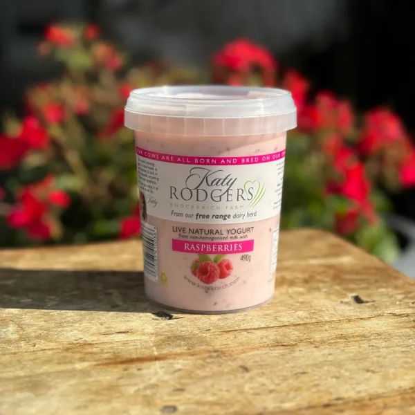 Katy Rogers 490g Rasp Yogurt