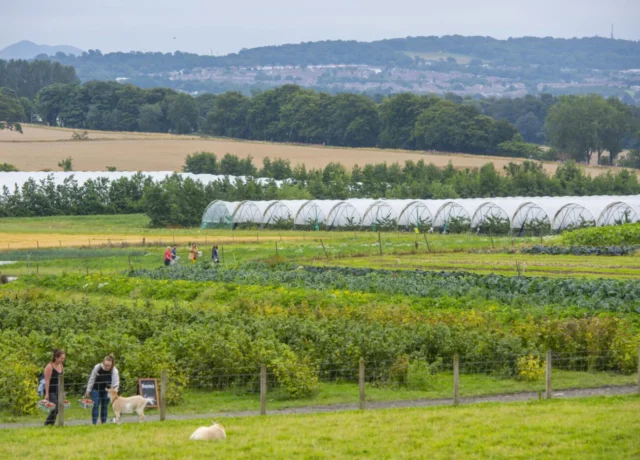 Craigies Farm


Photo Phil Wilkinson. 
info@philwilkinson.net
07740444373