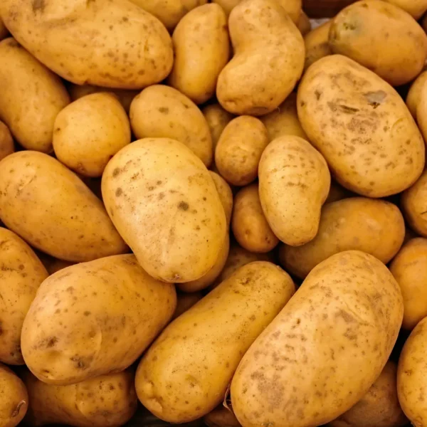 Kestrel Potatoes