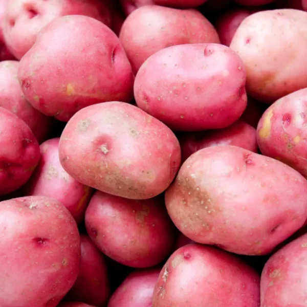 Caledonian Rose Potatoes