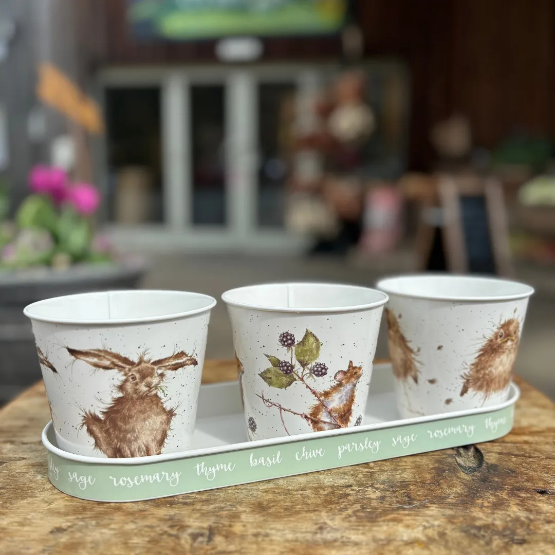 herb pots