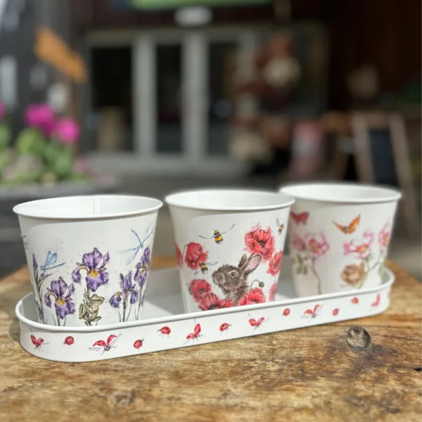herb pots