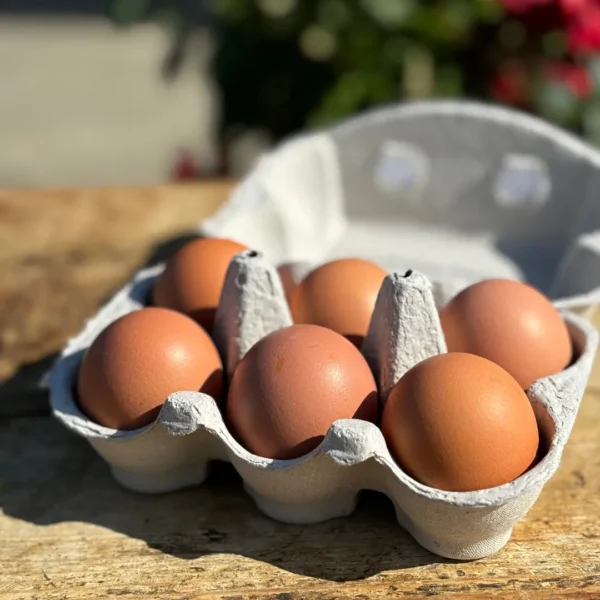 Free Range Medium Eggs 6 pack
