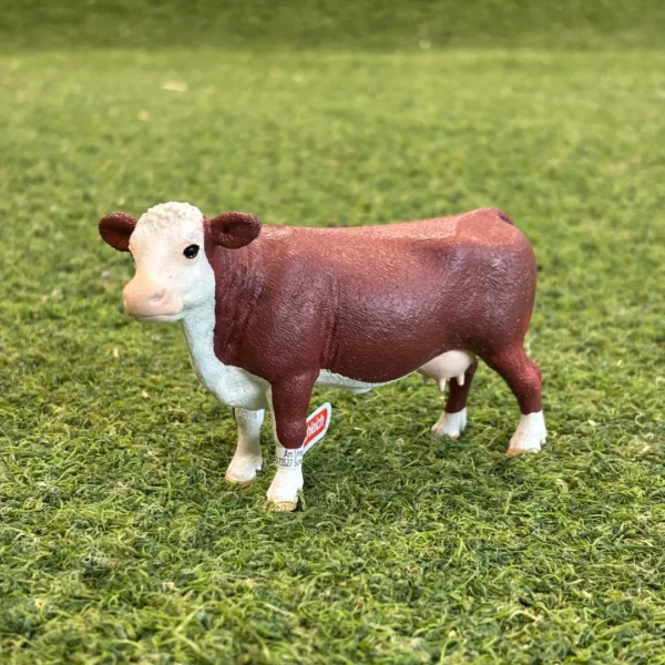 Hereford Cow