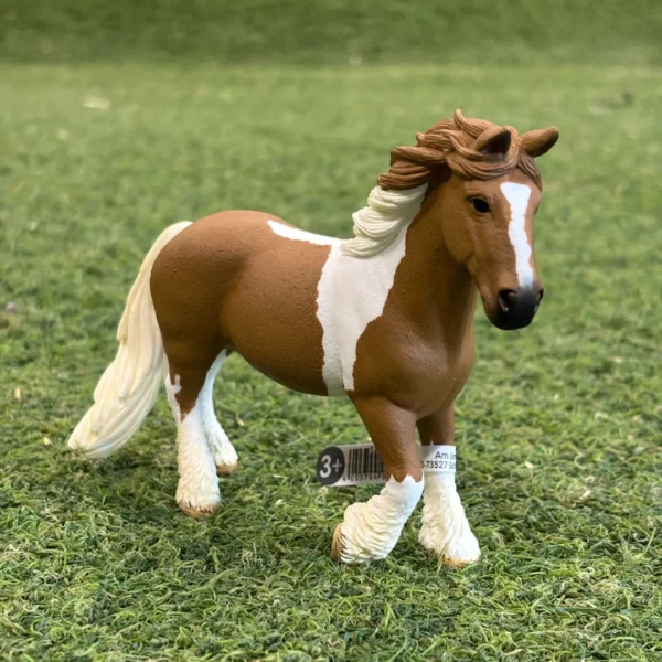 Schwein Tinker Mare