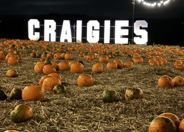 pumpkin festival