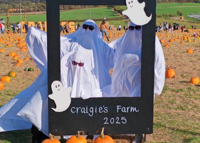 pumpkin festival