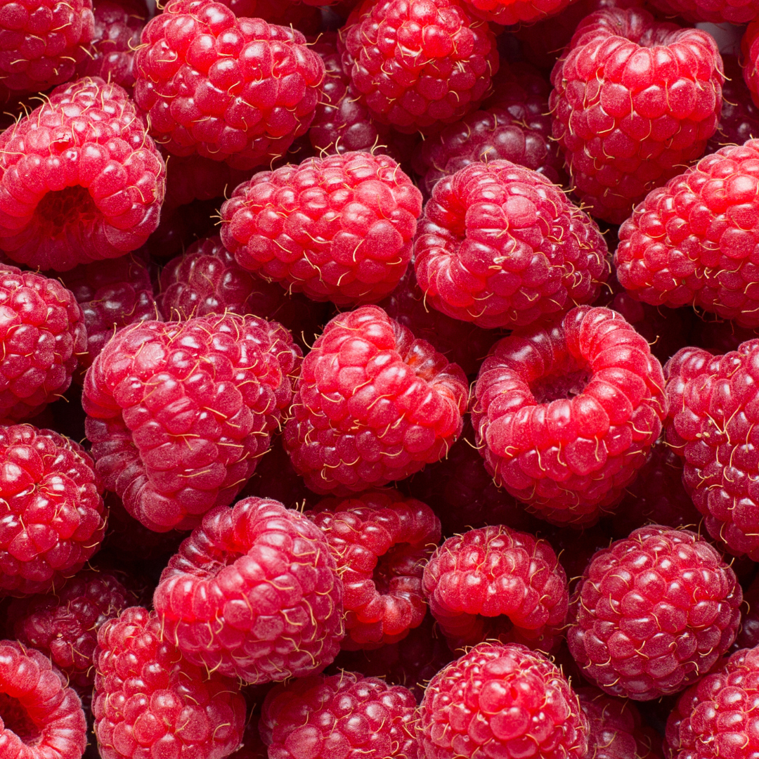 Wish Raspberries Craigie’s Farm | Pick Your Own
