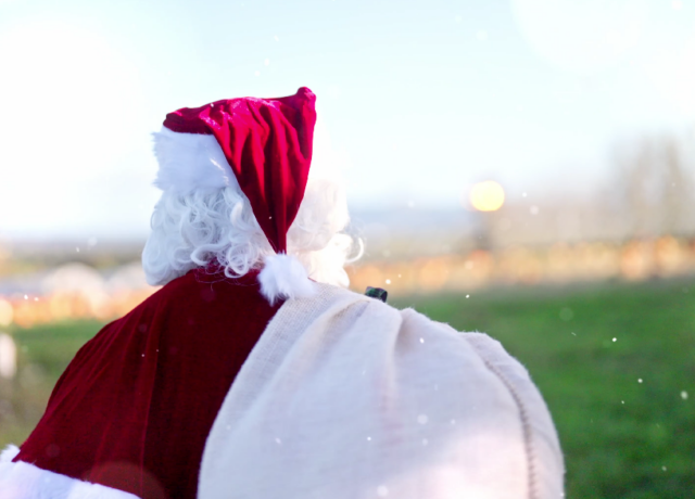 1 santa experience