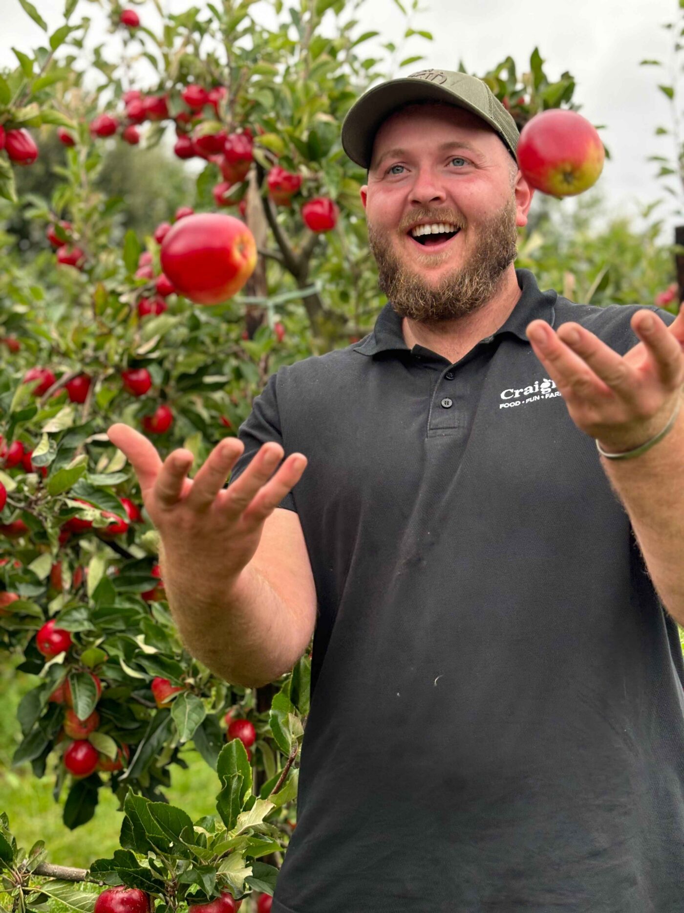 apple fest