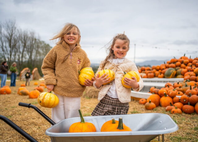 PUMPKIN PICKING